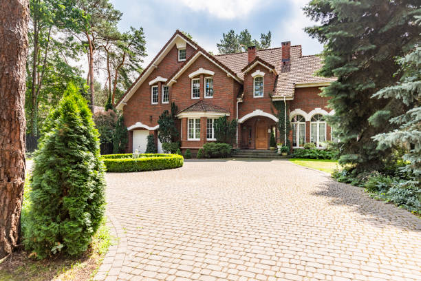 Best Decorative Driveway Pavers  in Donna, TX