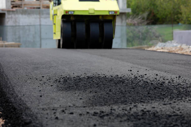 Best Driveway Pavers Near Me  in Donna, TX