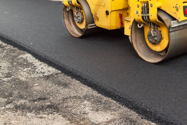 Best Driveway Paving Contractor  in Donna, TX
